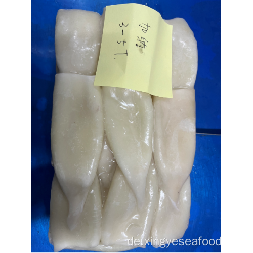 Gefrorene Tintenfischrohr Illex Coindetii U3-U5